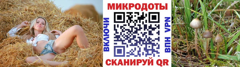 mega вход  купить наркотик  Подольск  Галлюциногенные грибы Psilocybe 